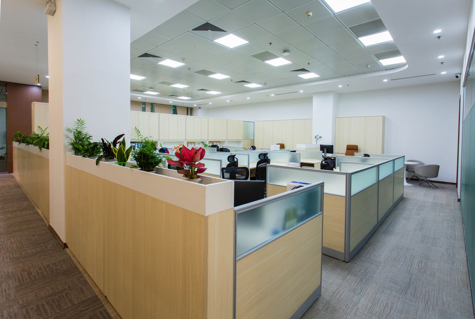Open-plan office workspace with rows of desks, monitors and warm natural light