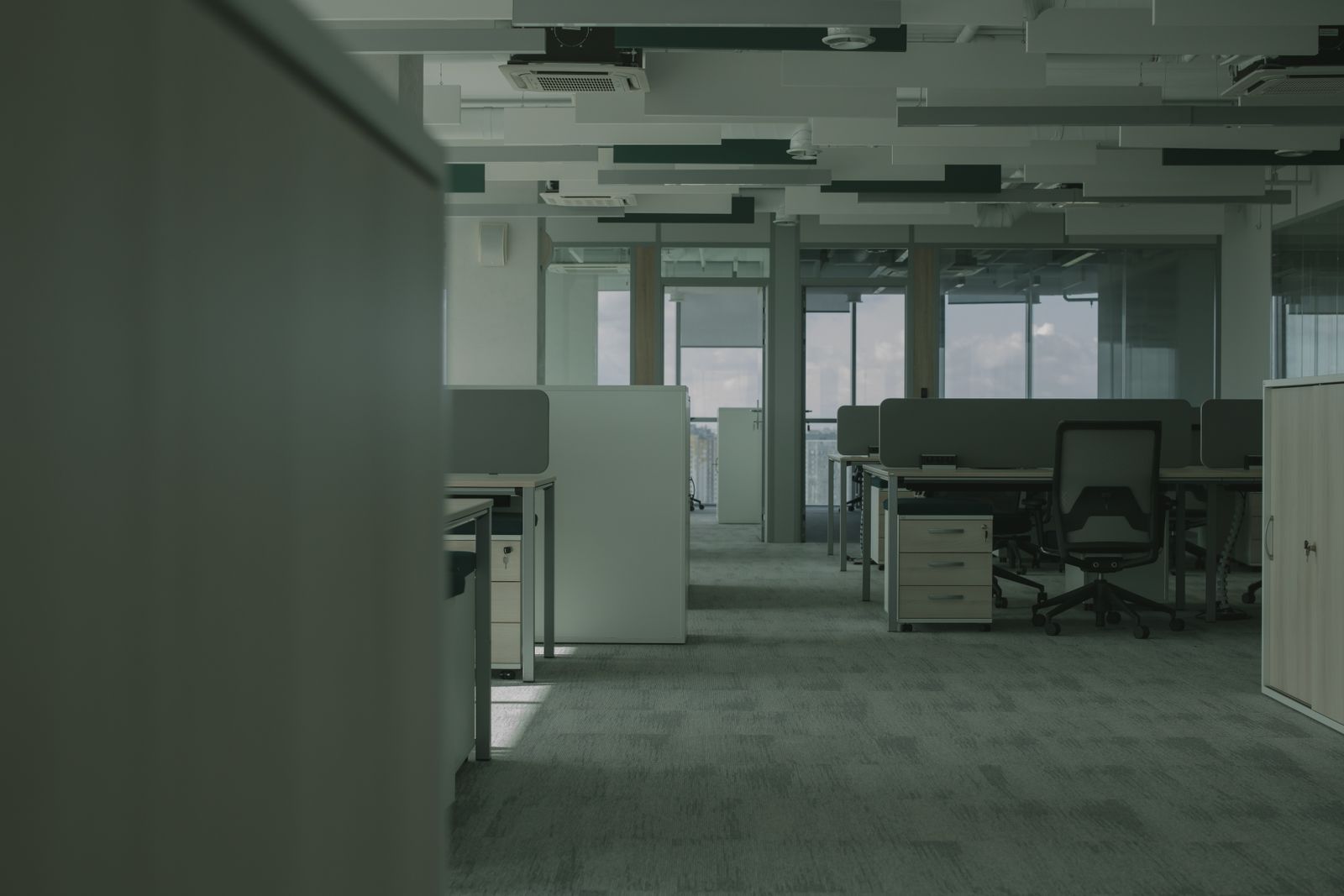 Quiet corner of the office with a desk setup, plants and shelving