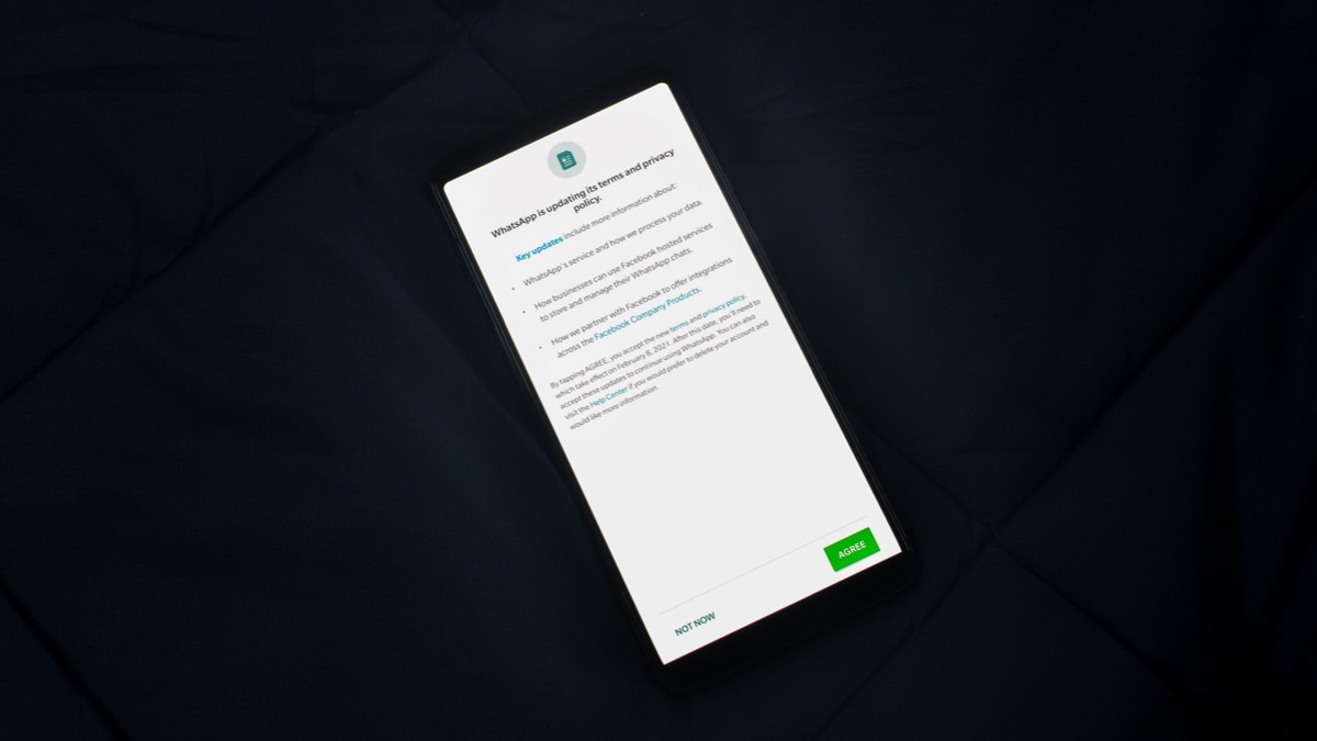 A phone displaying a full-screen consent prompt about updated terms and privacy policy, with AGREE and NOT NOW buttons