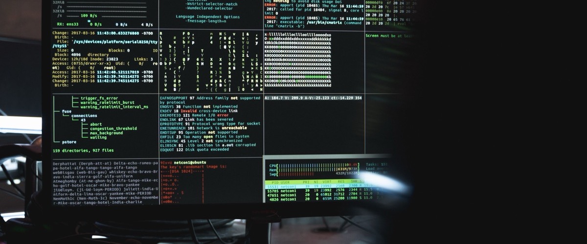 wp2shell: what the WordPress core flaw means for your business