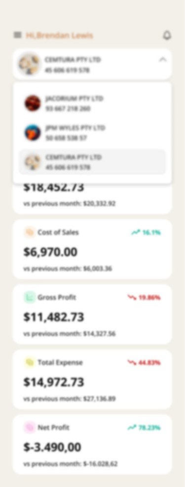 This Accounting Revolution app — All your businesses