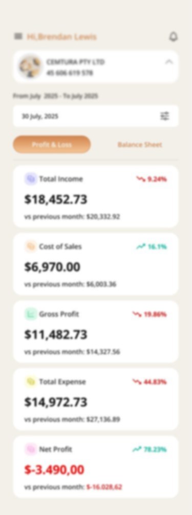 This Accounting Revolution app — profit-and-loss dashboard with income, expenses and net profit